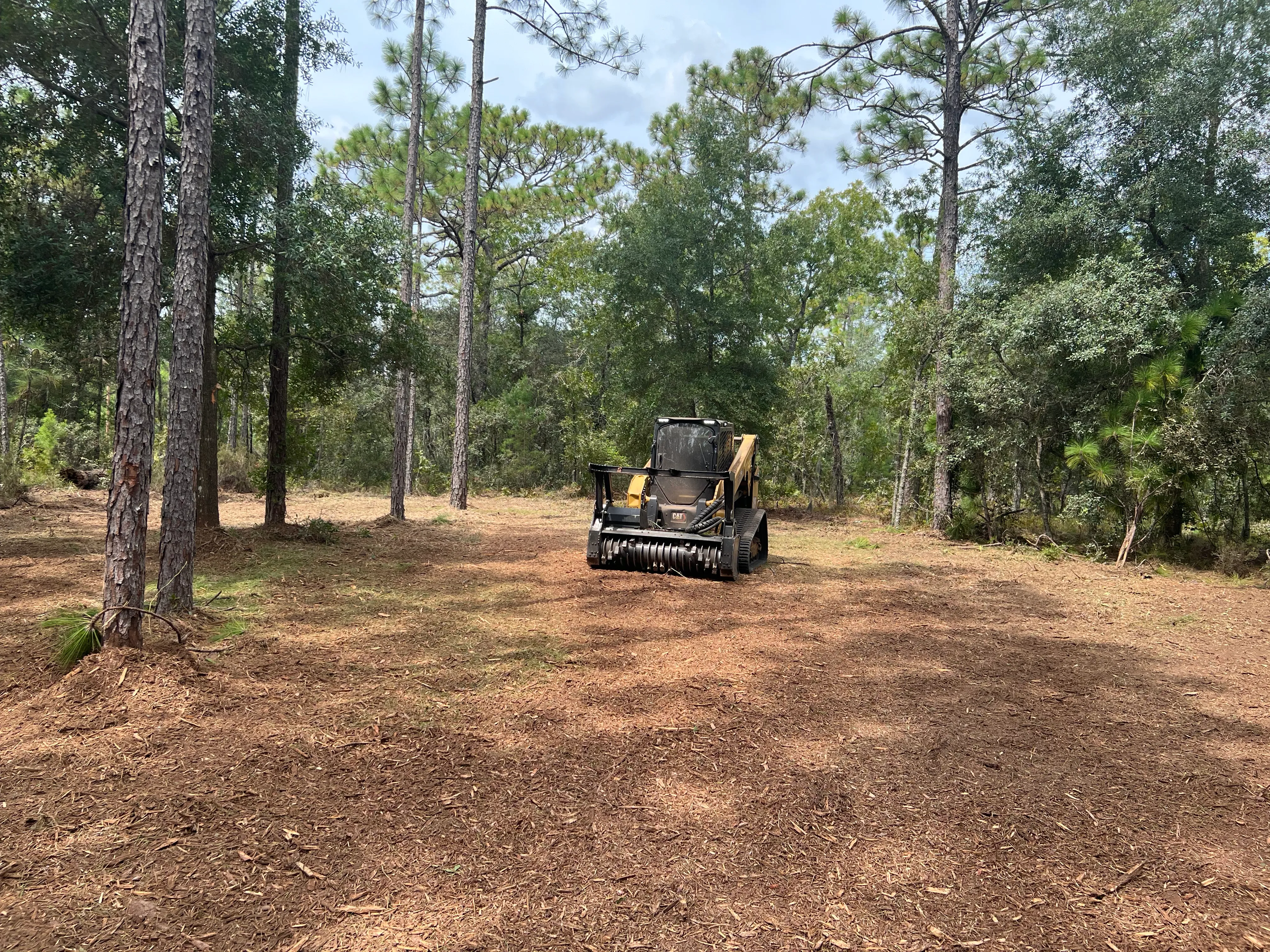 Completed residential lot clearing