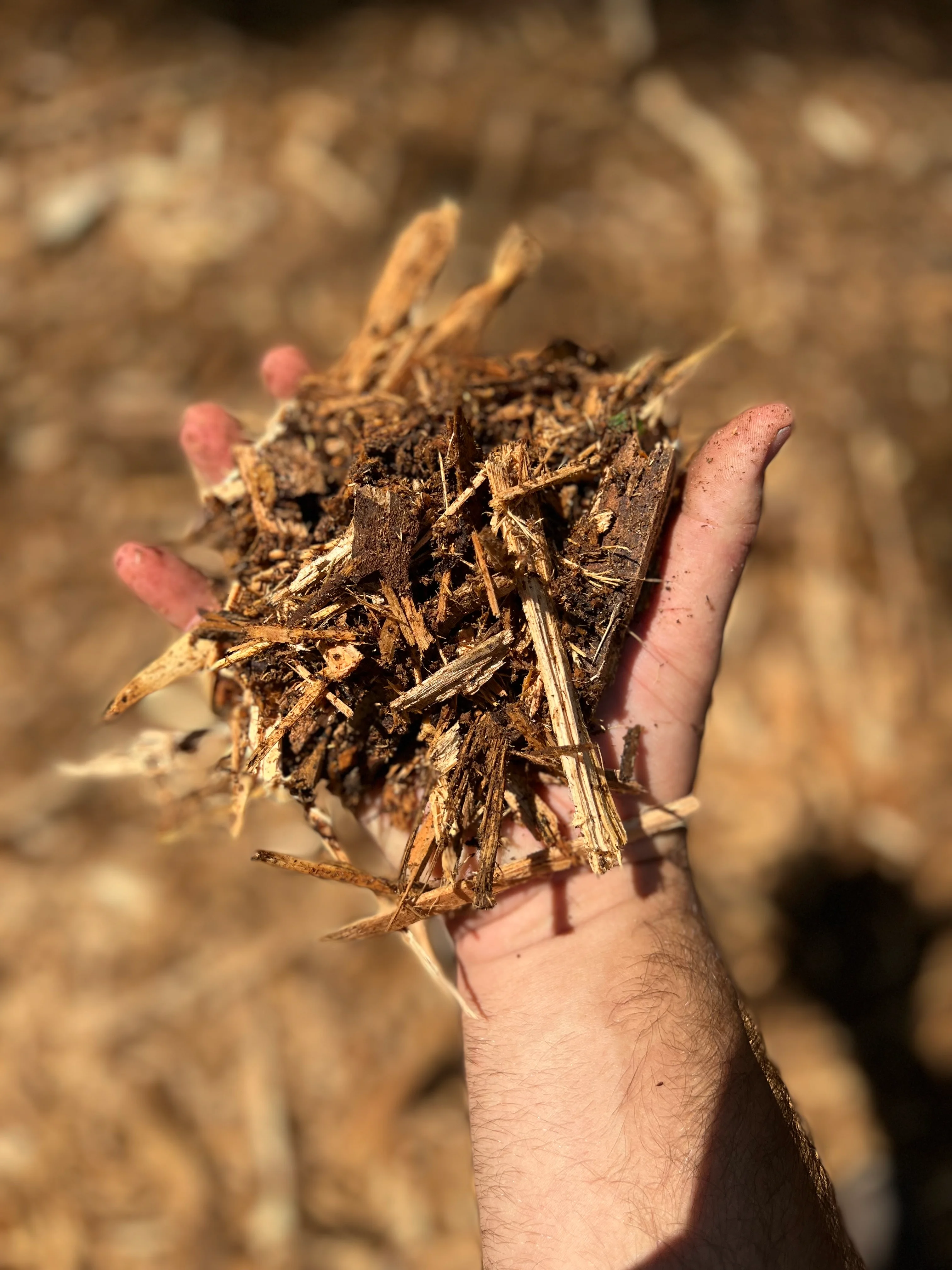 TreeShop CAT track loader clearing a field