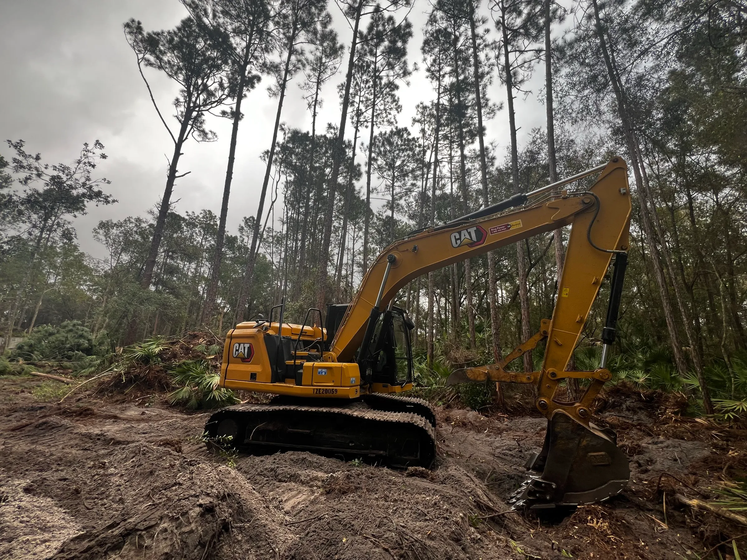 TreeShop CAT excavator clearing palmetto and pine on a Florida residential site