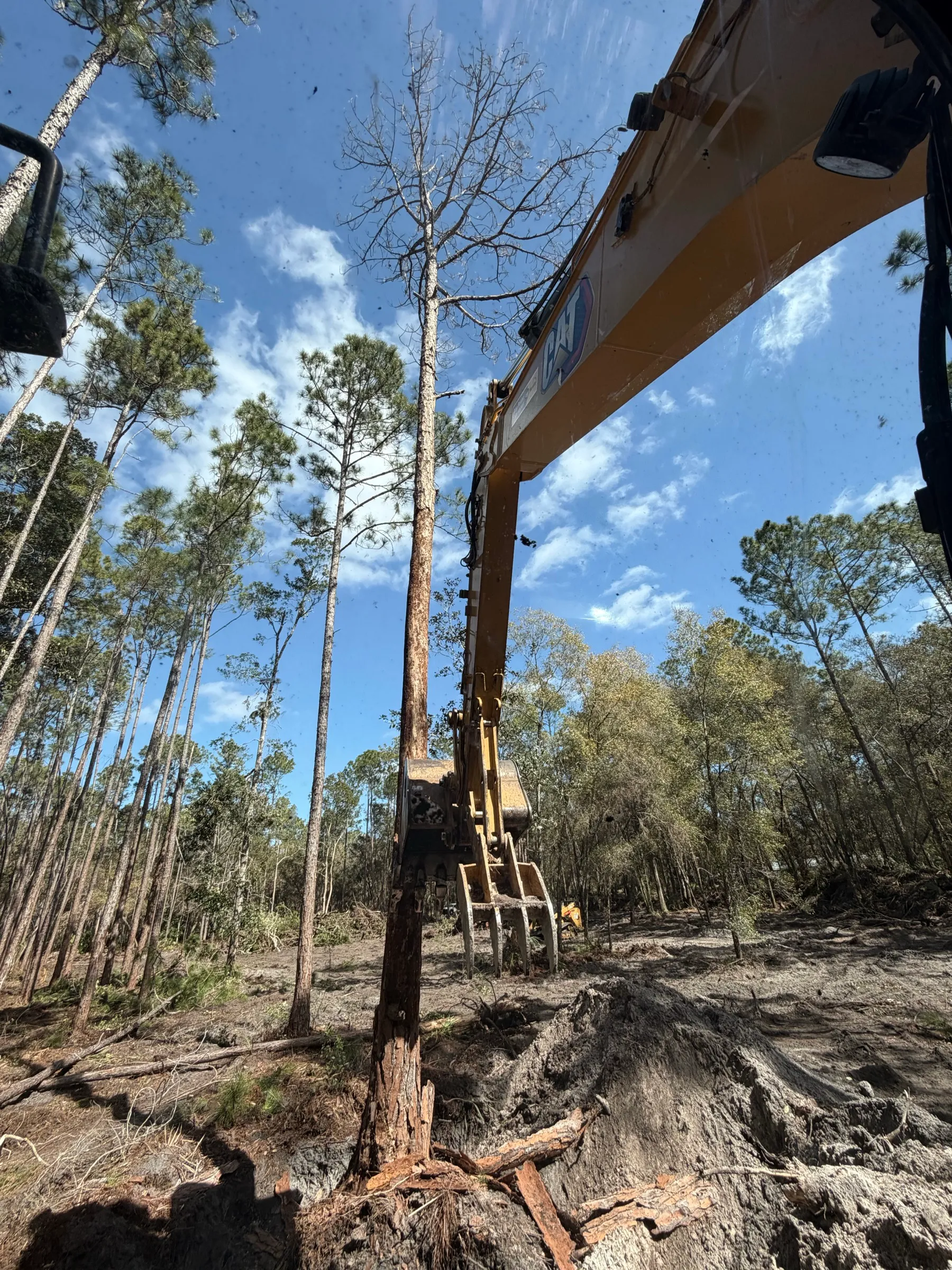 TreeShop CAT excavator lifting tree trunk during land clearing project in Central Florida