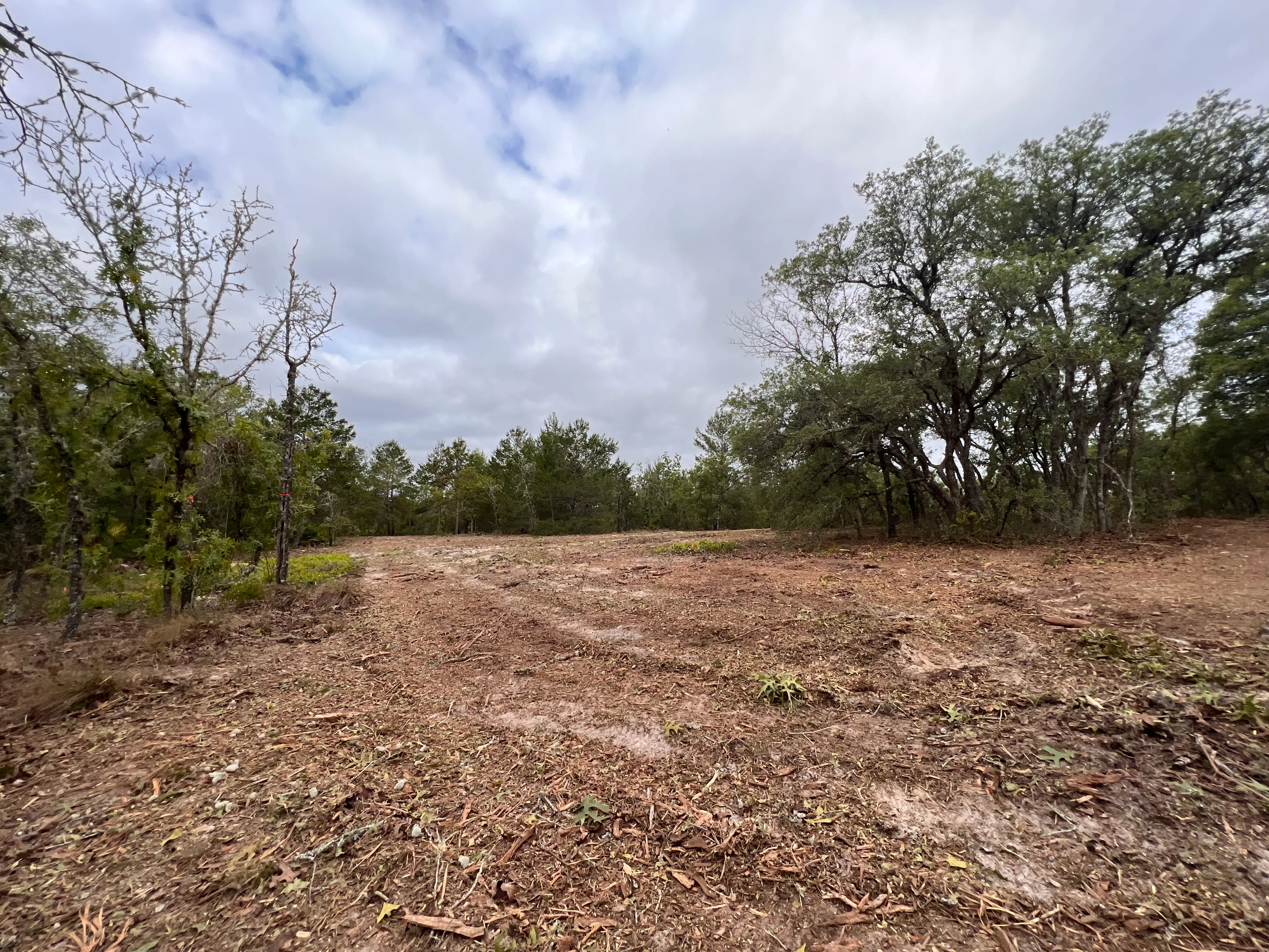 Finished land clearing project ready for build