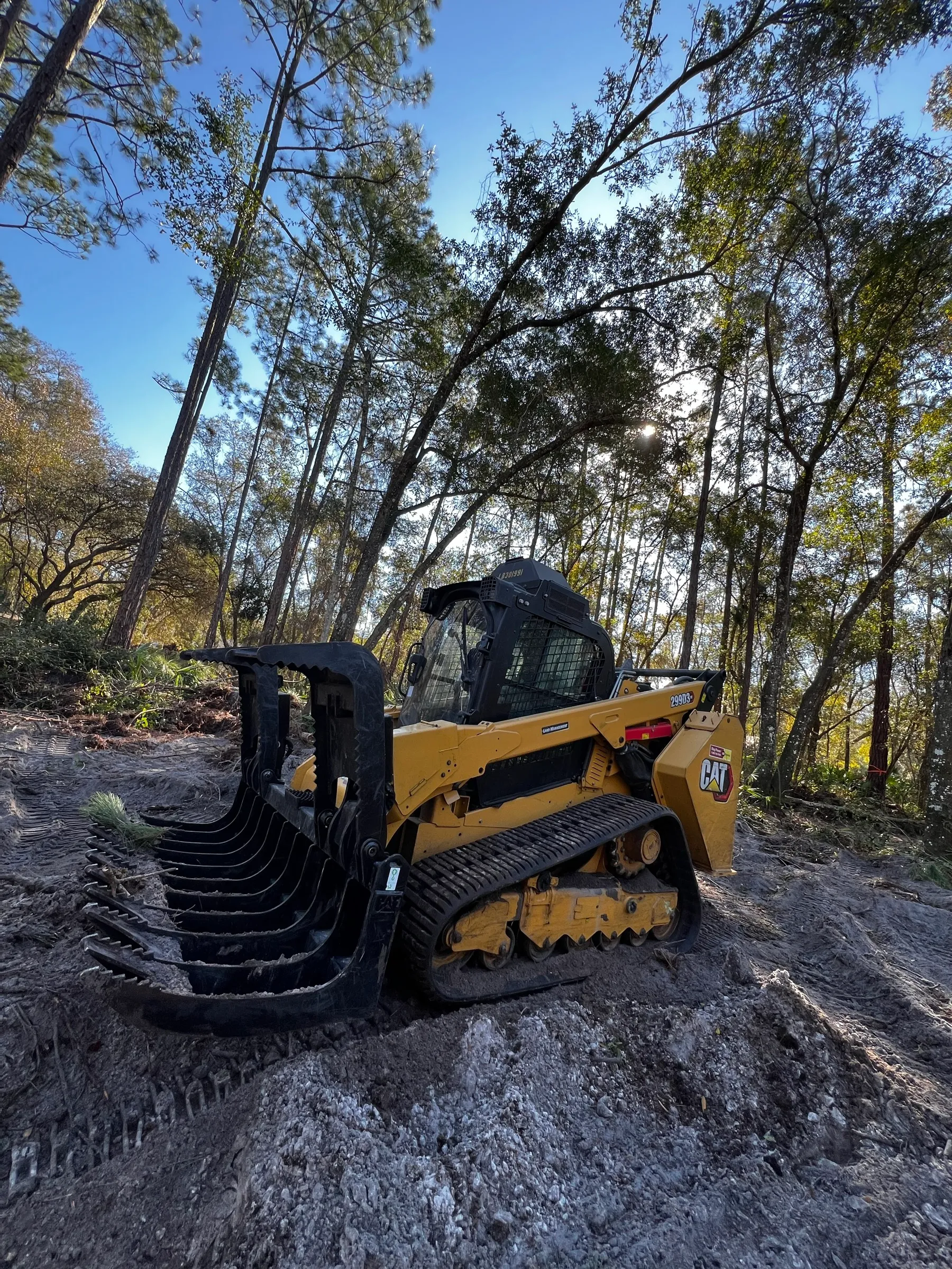 TreeShop CAT track loader with grapple attachment clearing a wooded lot in Central Florida