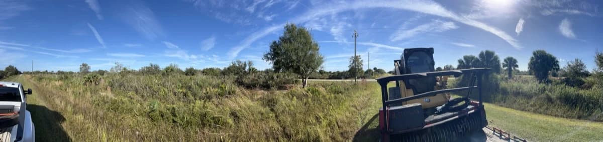 Before clearing - Okeechobee