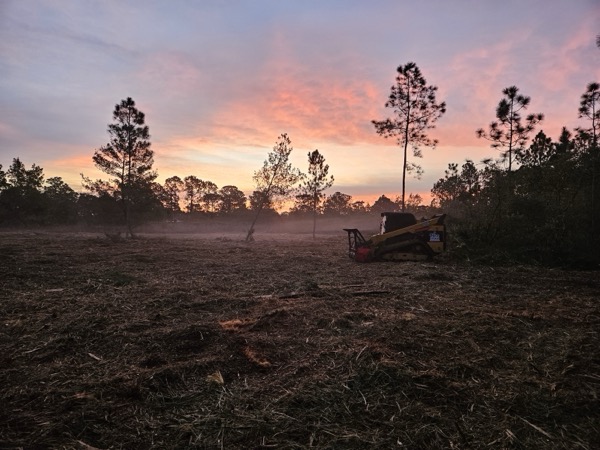 TreeShop land management project in Central Florida