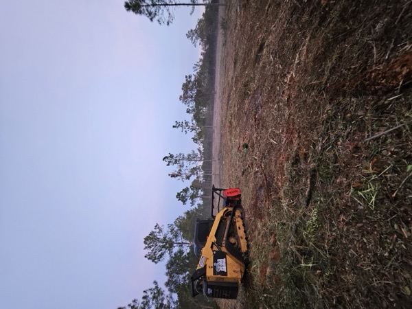 TreeShop land management project in Central Florida