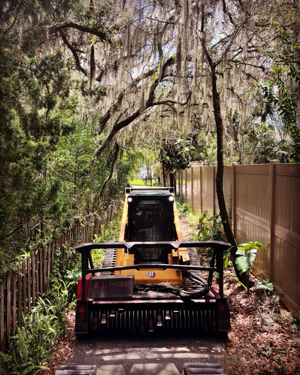 TreeShop land management project in Central Florida