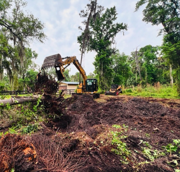 TreeShop land management project in Central Florida