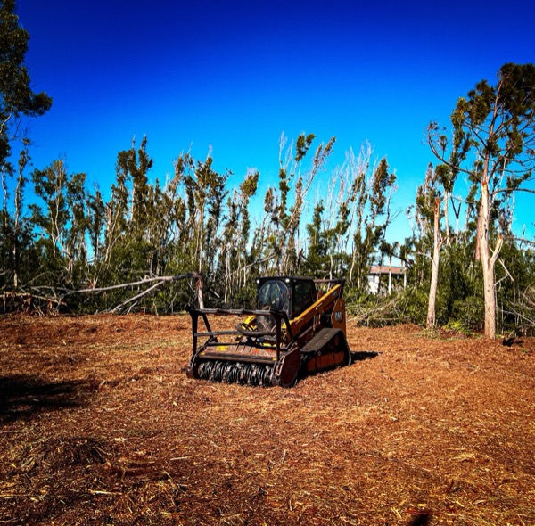 TreeShop land management project in Central Florida