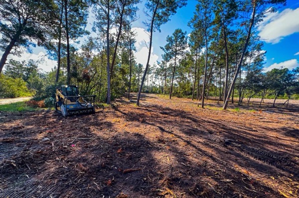 TreeShop land management project in Central Florida