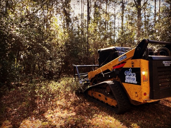 TreeShop land management project in Central Florida