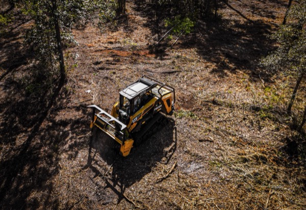 TreeShop land management project in Central Florida