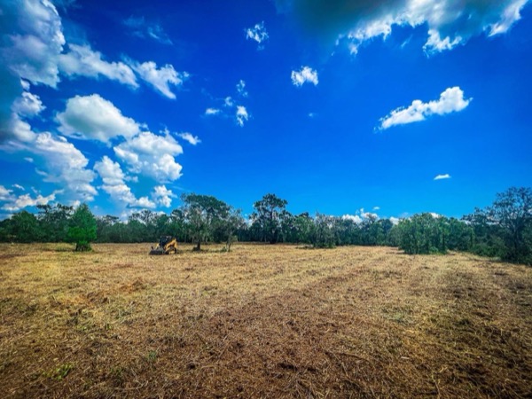 TreeShop land management project in Central Florida