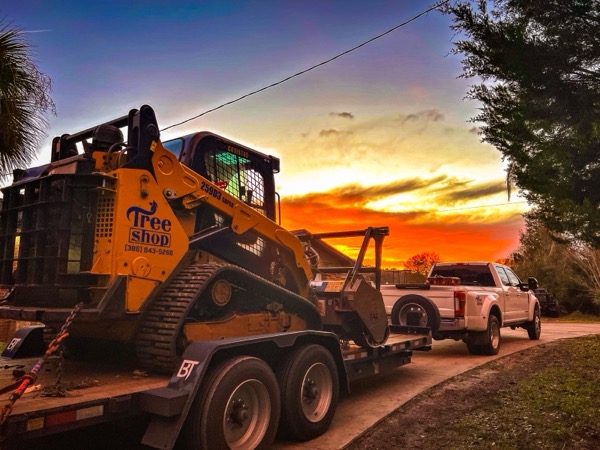 TreeShop land management project in Central Florida