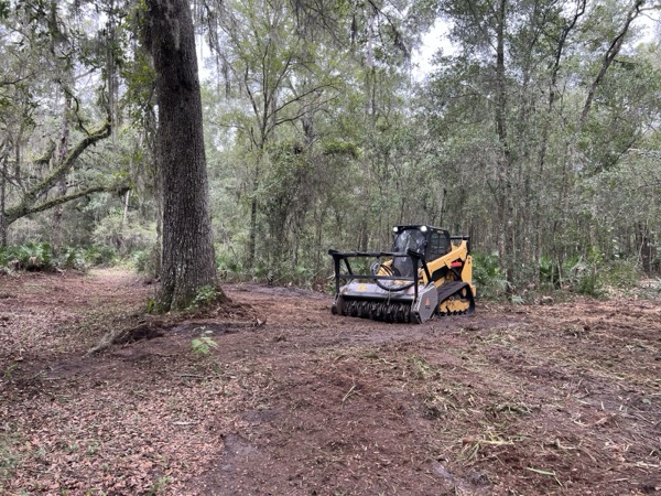 TreeShop land management project in Central Florida