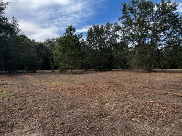 TreeShop land management project in Central Florida