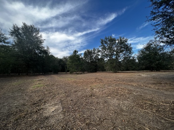 TreeShop land management project in Central Florida