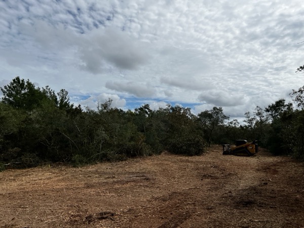 TreeShop land management project in Central Florida