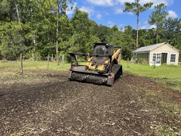 TreeShop land management project in Central Florida