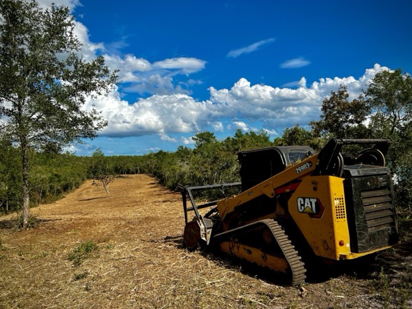 TreeShop land management project in Central Florida