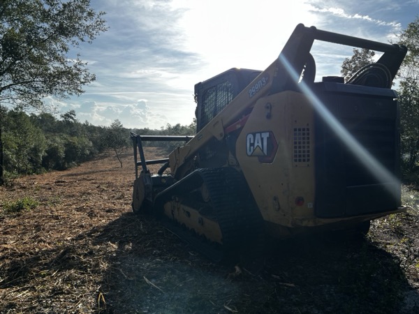 TreeShop land management project in Central Florida