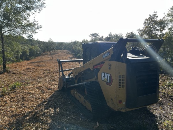 TreeShop land management project in Central Florida