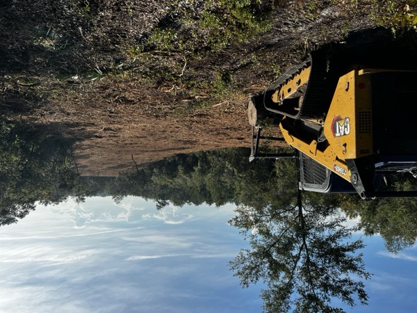 TreeShop land management project in Central Florida