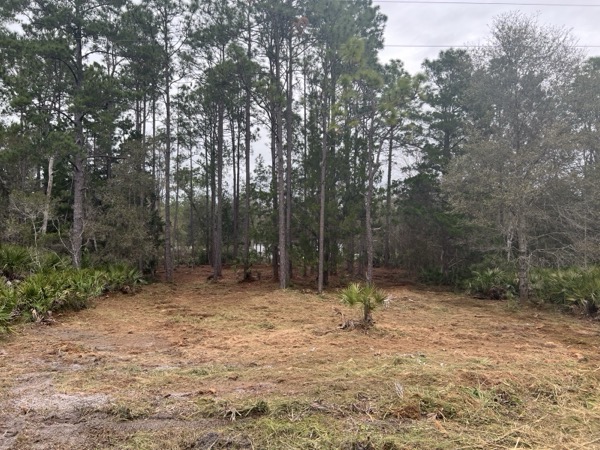 TreeShop land management project in Central Florida