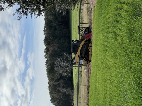 TreeShop land management project in Central Florida