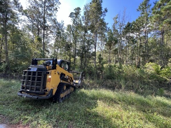 TreeShop land management project in Central Florida