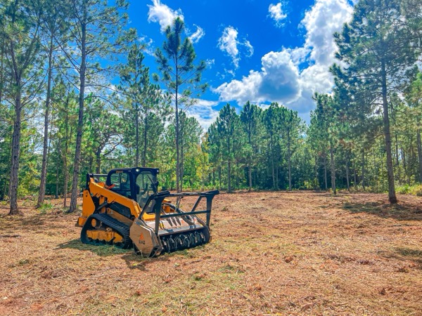 TreeShop land management project in Central Florida