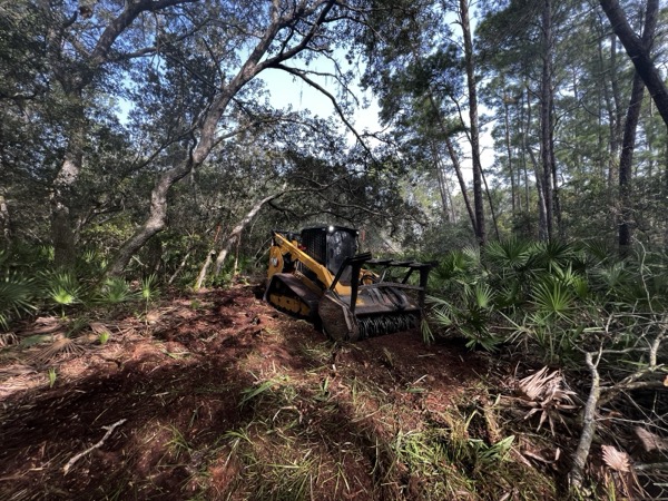 TreeShop land management project in Central Florida