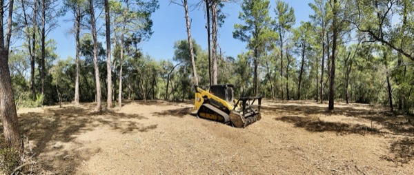 TreeShop land management project in Central Florida
