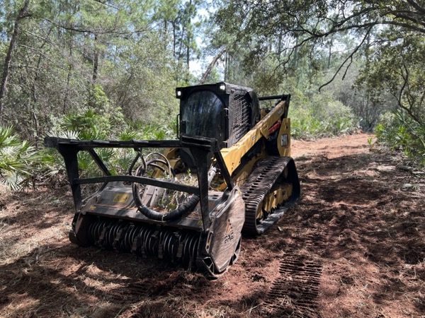 TreeShop land management project in Central Florida