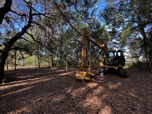 TreeShop land management project in Central Florida