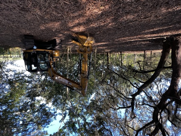 TreeShop land management project in Central Florida