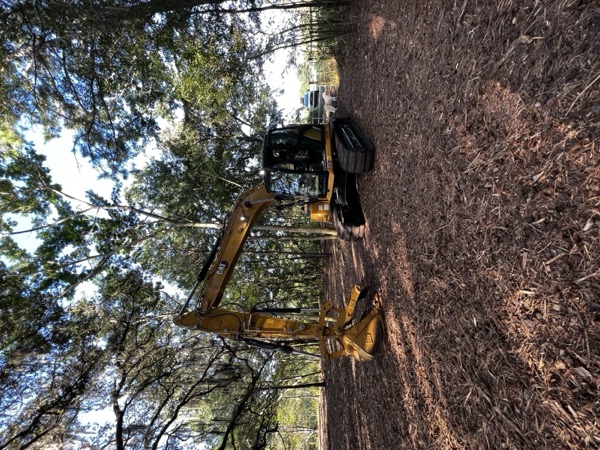 TreeShop land management project in Central Florida