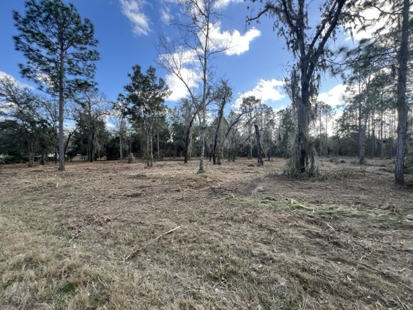 TreeShop land management project in Central Florida