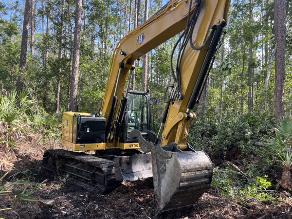 TreeShop land management project in Central Florida