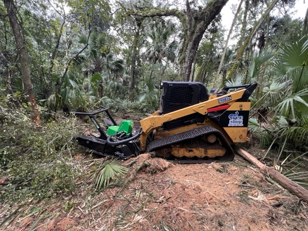 TreeShop land management project in Central Florida