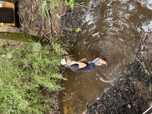 TreeShop land management project in Central Florida