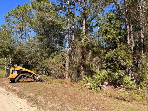 TreeShop land management project in Central Florida
