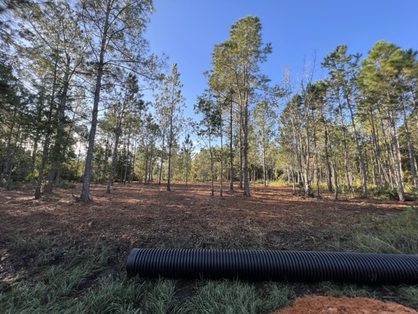 TreeShop land management project in Central Florida