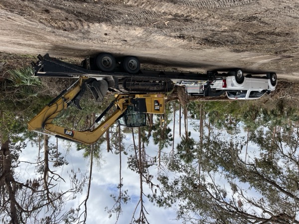 TreeShop land management project in Central Florida