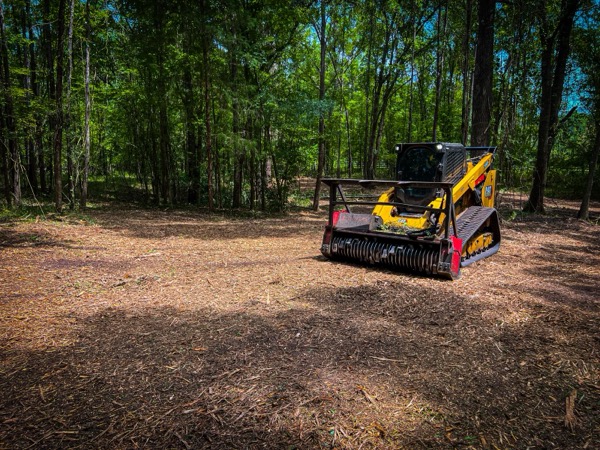 TreeShop land management project in Central Florida