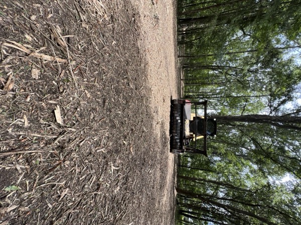 TreeShop land management project in Central Florida