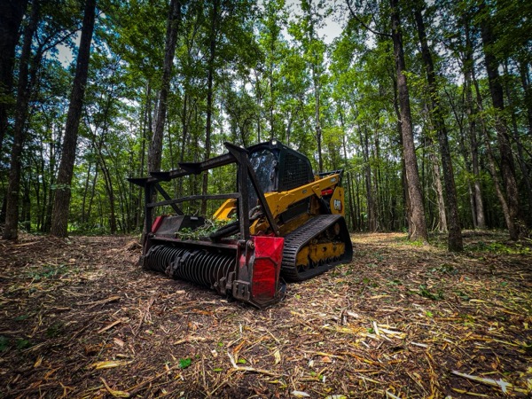 TreeShop land management project in Central Florida