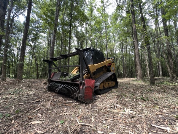 TreeShop land management project in Central Florida