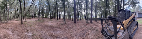 TreeShop land management project in Central Florida