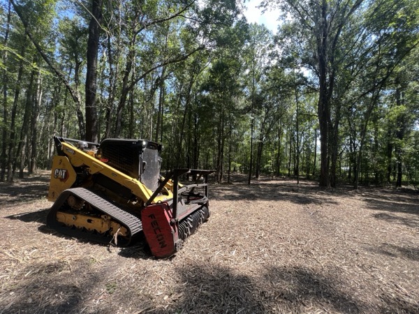 TreeShop land management project in Central Florida
