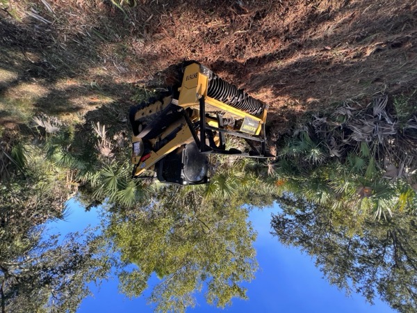 TreeShop land management project in Central Florida